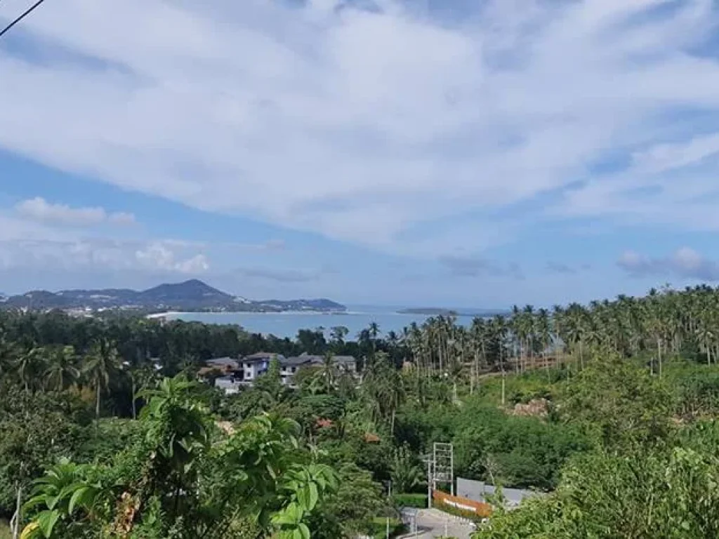 Sea view land for sale ขายที่ดินซีวิวเฉวงน้อยเกาะสมุย ถูกทีสุด Samui