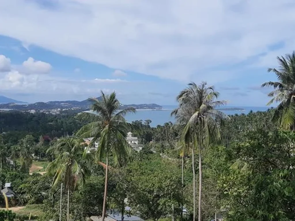 Sea view land for sale ขายที่ดินซีวิวเฉวงน้อยเกาะสมุย ถูกทีสุด Samui