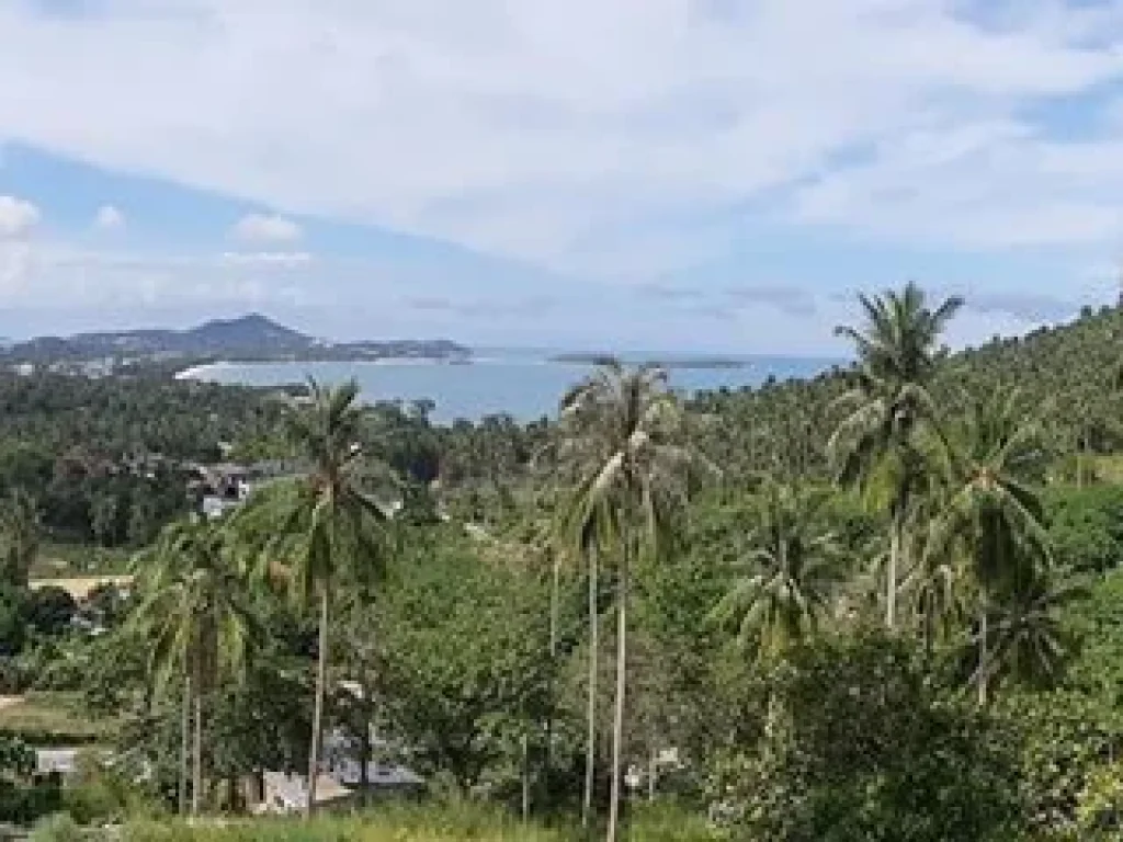 Sea view land for sale ขายที่ดินซีวิวเฉวงน้อยเกาะสมุย ถูกทีสุด Samui