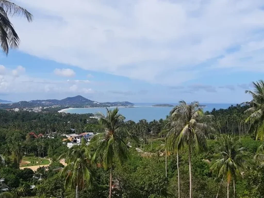 Sea view land for sale ขายที่ดินซีวิวเฉวงน้อยเกาะสมุย ถูกทีสุด Samui