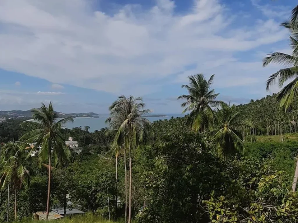 Sea view land for sale ขายที่ดินซีวิวเฉวงน้อยเกาะสมุย ถูกทีสุด Samui