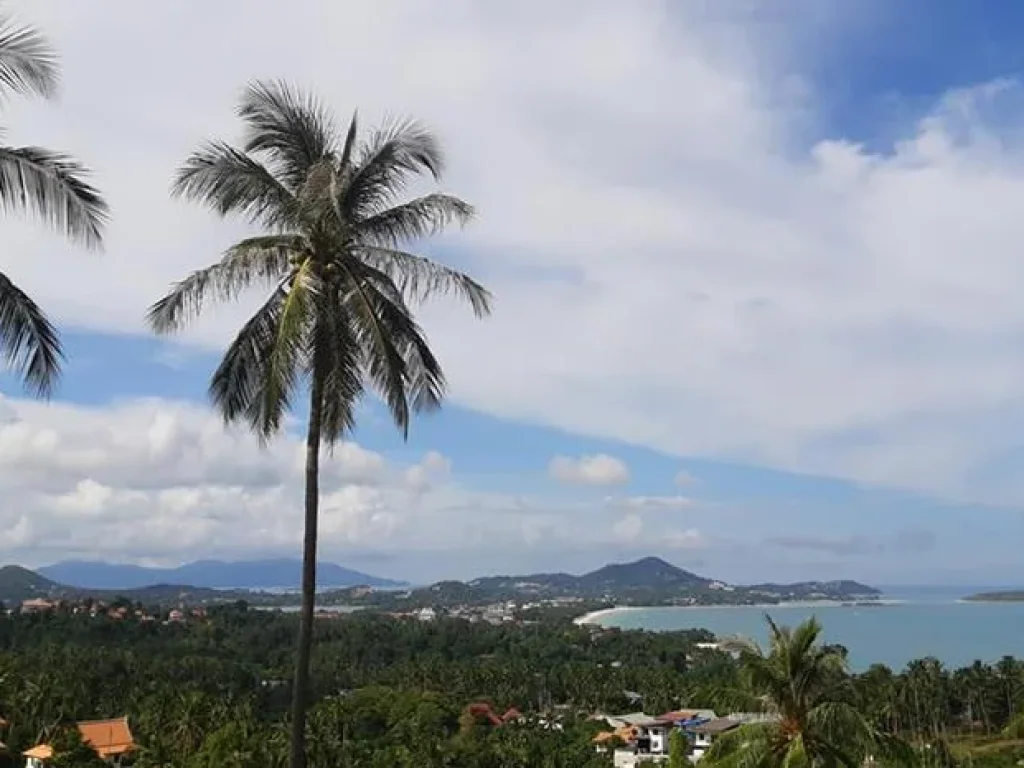 Sea view land for sale ขายที่ดินซีวิวเฉวงน้อยเกาะสมุย ถูกทีสุด Samui