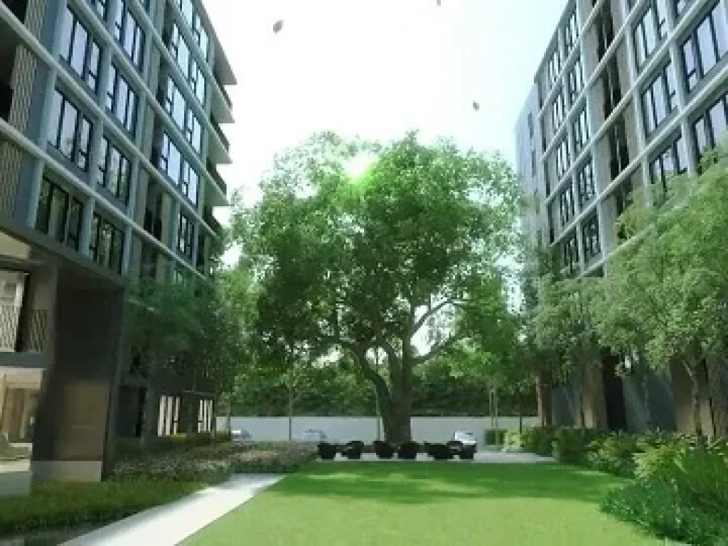 ขายดาวน์ Serenity Condo มข