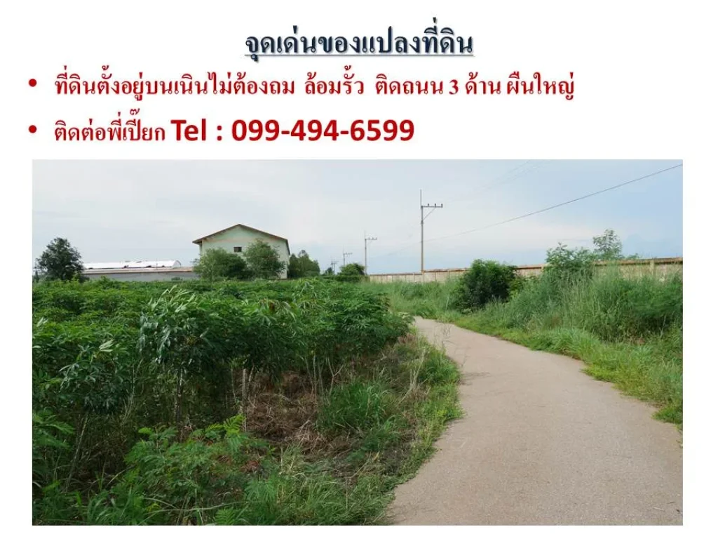 ขายที่ดินทางหลวงเส้นทางยุทธศาสตร์ EEC สัตหีบ พนมสารคาม ฉะเชิงเทรา