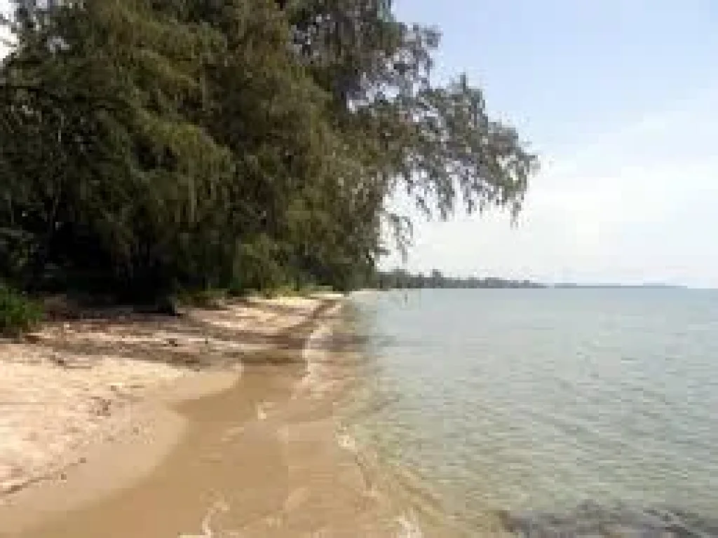 ขายที่ดินพร้อมคอนโดมิเนี่ยม ติดชายหาดแม่พิมพ์ โฉนด 10 ไร่