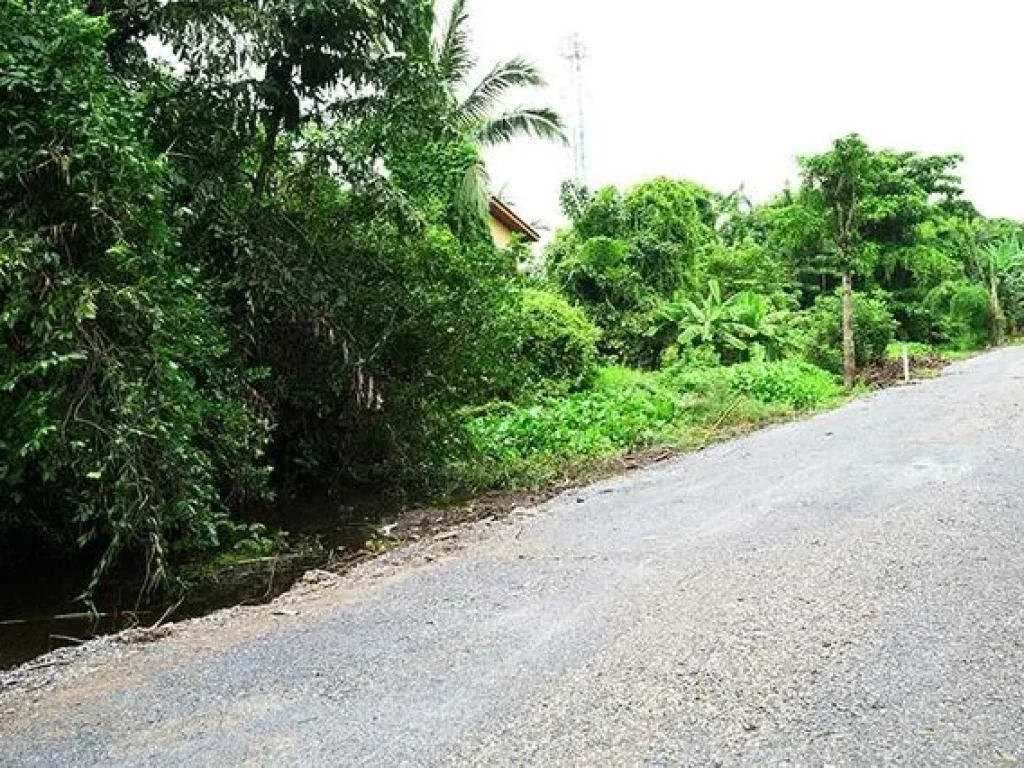 ขายที่ดิน 120 ตรว ซศรีพรสวรรค์7 สวนใหญ่ นนทบุรี