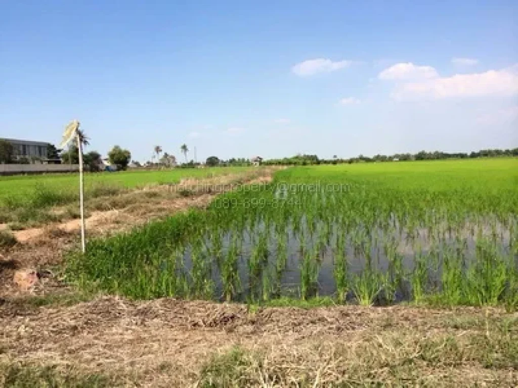 ที่ดิน ลาดหลุมแก้ว 18 ไร่ วัดบ่อเงิน พื้นที่สีเหลือง ใกล้ดาวเทียมไทยคม สร้างโรงงาน อุตสาหกรรม