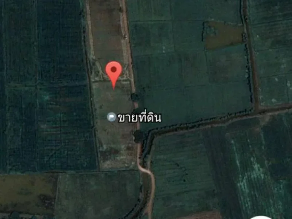 ขายที่ดินด่วน เป็นที่นาเหมาะกับการเกษตร จังหวัดขอนแก่น