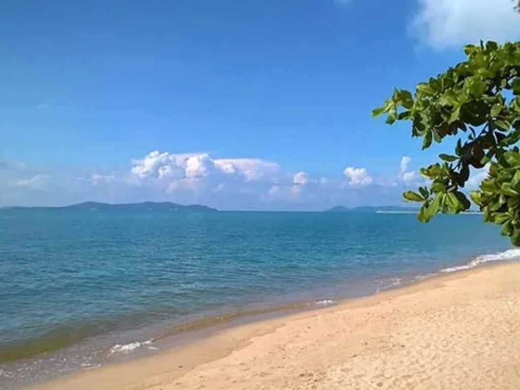 ขายที่ดินติดชายหาดทะเล แม่พิมพ์ พร้อมรีสอร์ท โฉนด 4 ไร่ ใบอนุญาตดำเนินการพร้อม