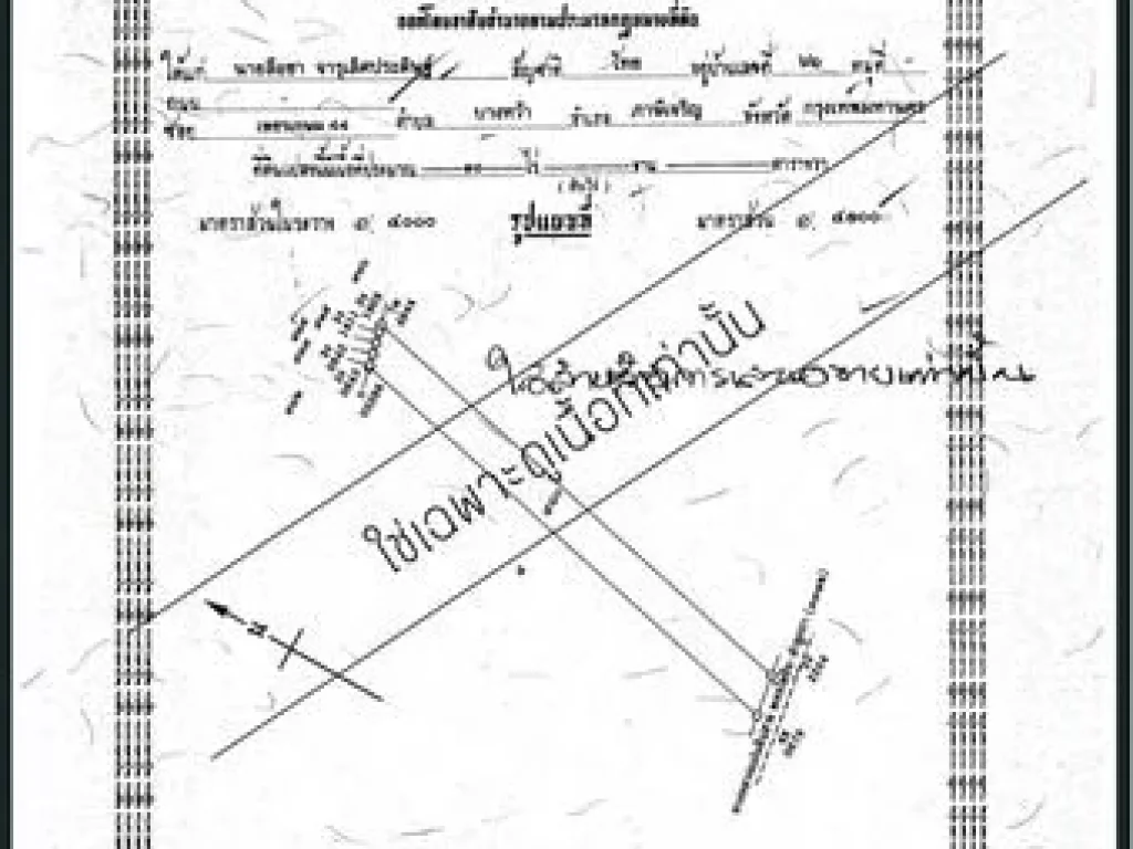 W62ขายที่ดิน10ไร่ ลำลูกกาคลอง7 ติดถนนใหญ่ อำเภอลำลูกกา จังหวัดปทุมธานี