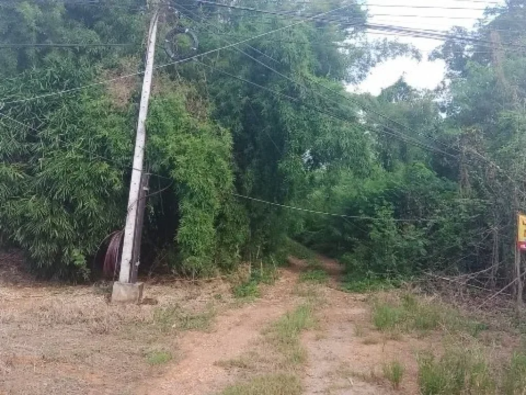 ขาย ที่ดินเปล่า 1 ไร่ อำเภอหนองไผ่ จังหวัดเพชรบูรณ์