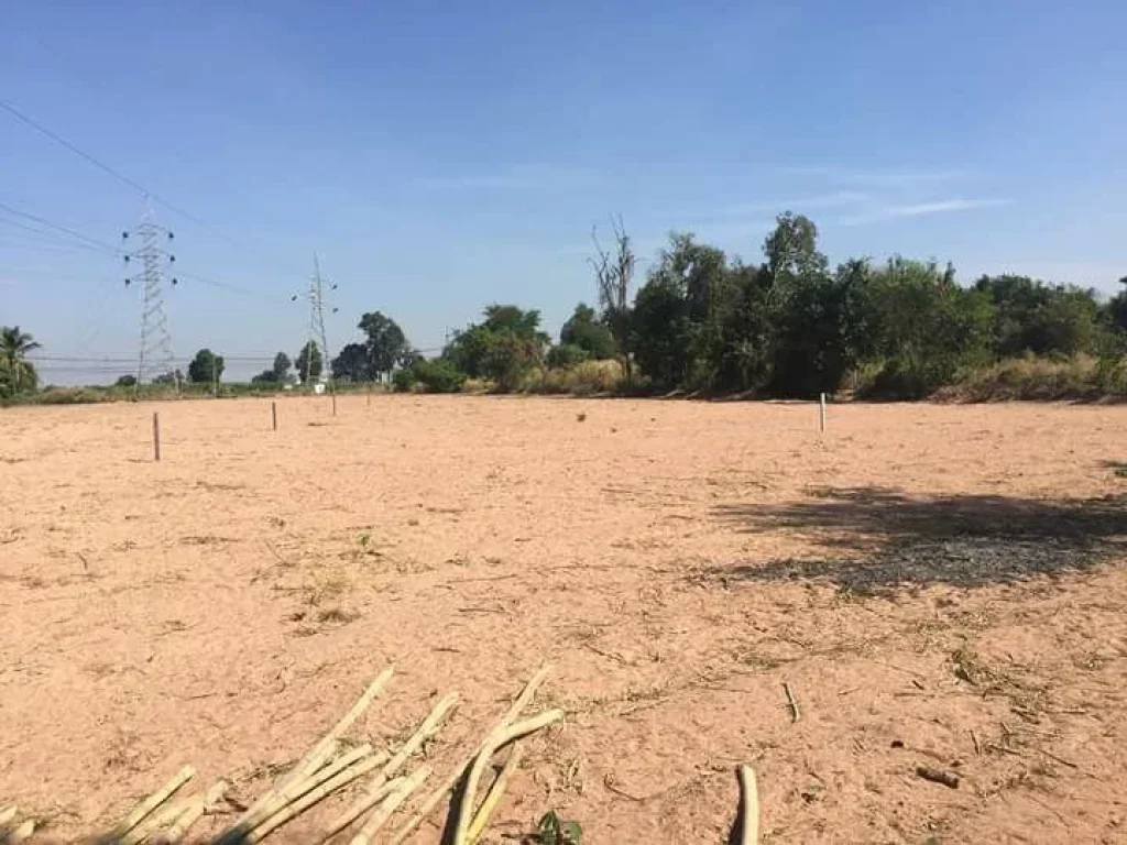 ที่ดิน 2 ไร่ ใกล้โรงงานซีพีห่างถนนมิตรภาพเพียงแค่ 700 เมตรเท่านั้น