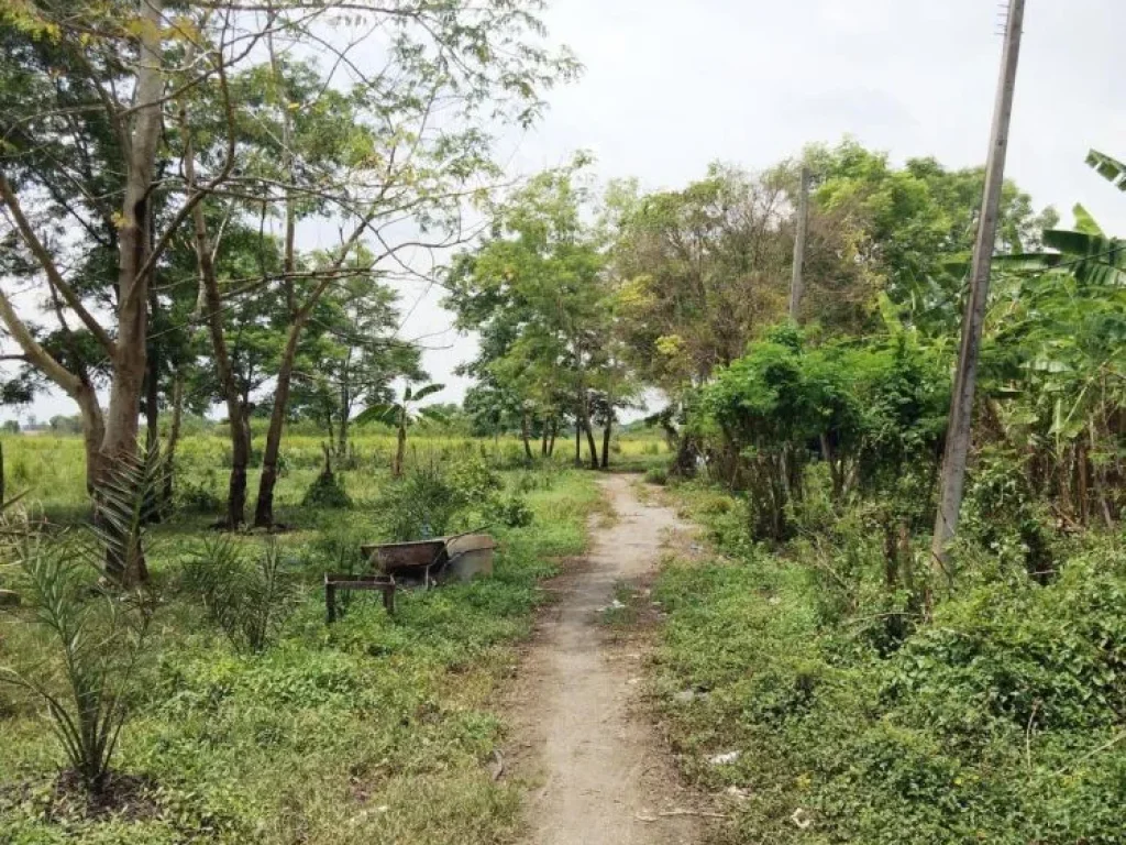 ขายที่ดิน ซอยจตุโชติ20 ย่านชุมชนวัชรพล3 ถนนสุขาภิบาล 5 แขวงออเงิน เขตสายไหม จังหวัดกรุงเทพมหานคร