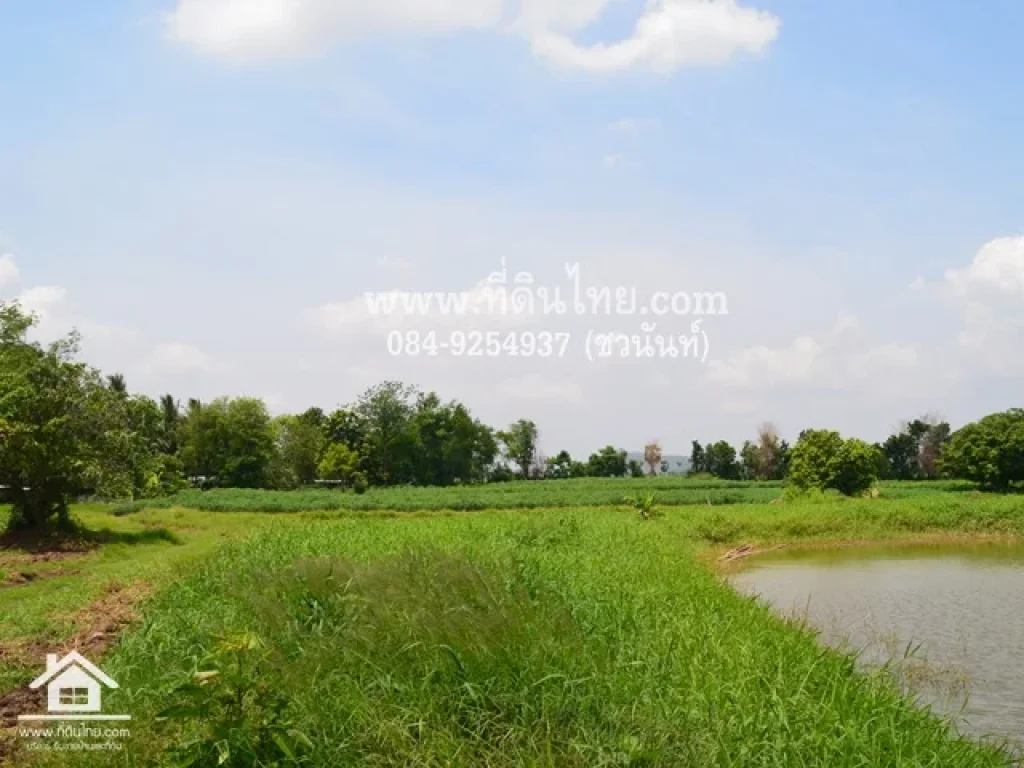 ขายที่ดินลพบุรี 112ไร่เศษ โฉนด ตโคกสลุง อพัฒนานิคม จลพบุรี รหัส L117