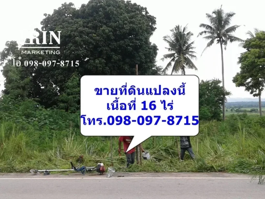 ขายที่ดินติดถนน อปากช่อง เนื้อที่ 16 ไร่ กว้างติดถนน 75 เมตร 098-097-8715