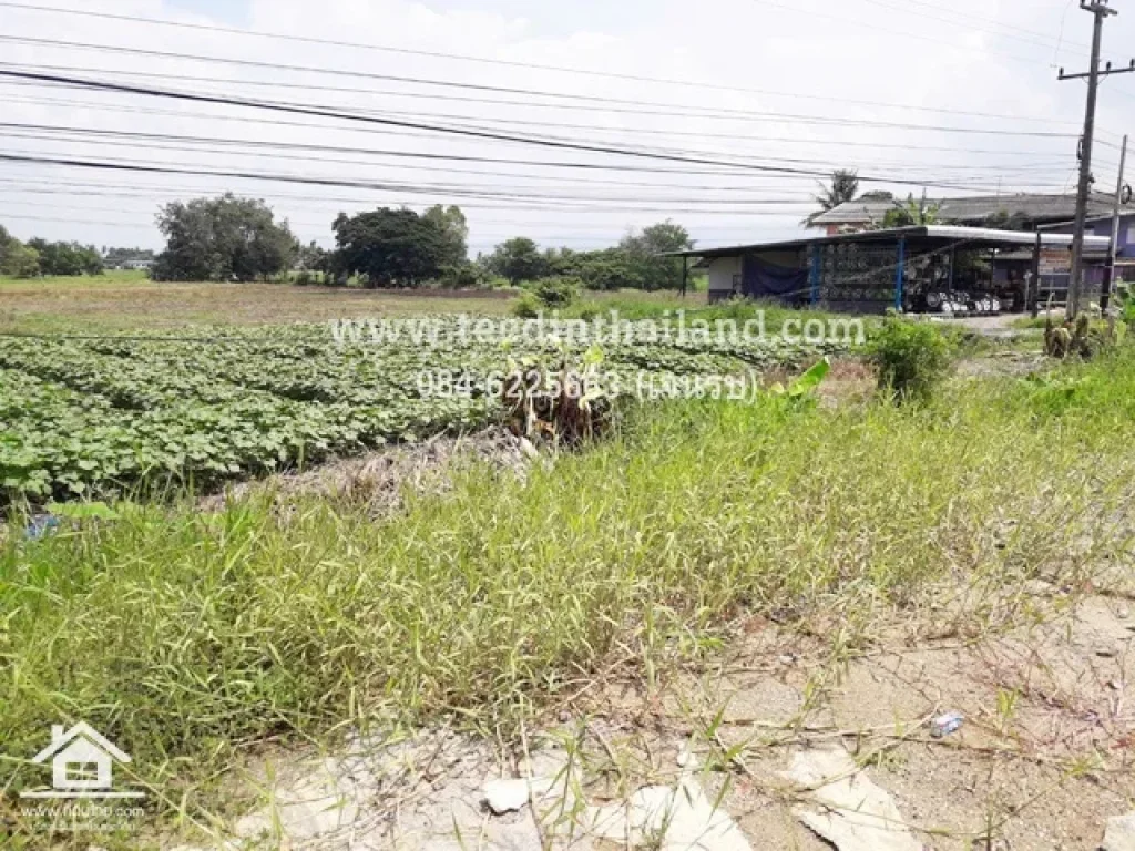 ขายที่ดินเพชรบูรณ์ โฉนด 3-2-28ไร่ ตหนองไขว่ อหล่มสัก จเพชรบูรณ์ รหัส L115