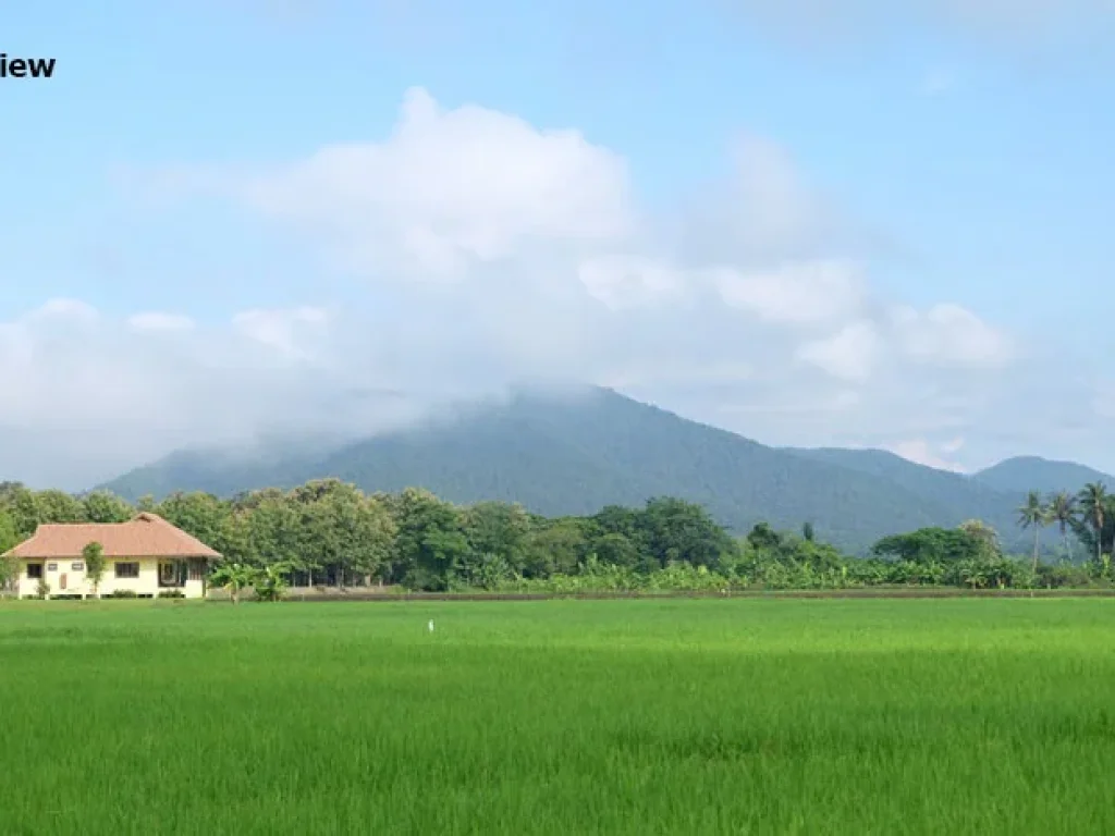 ที่นาวิวสวย เหมาะสำหรับลงทุน เชียงใหม่