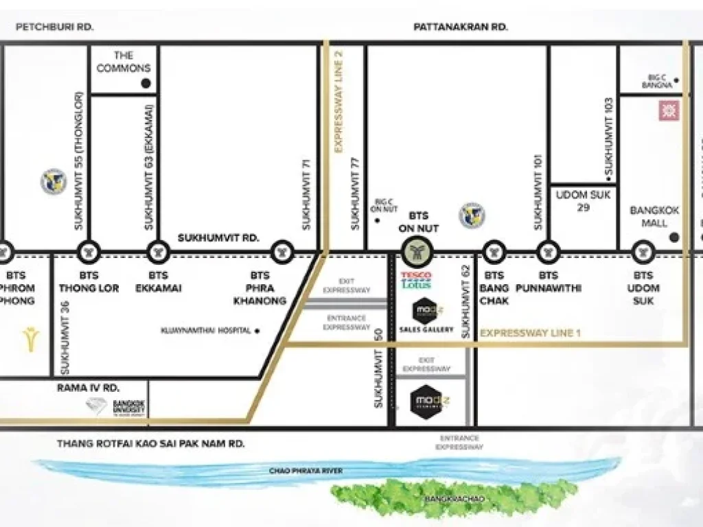 CM02932 ขายใบจอง โมดิซ สุขุมวิท 50 Modiz Sukhumvit 50 คอนโดมิเนียม ซอยสุขุมวิท 50