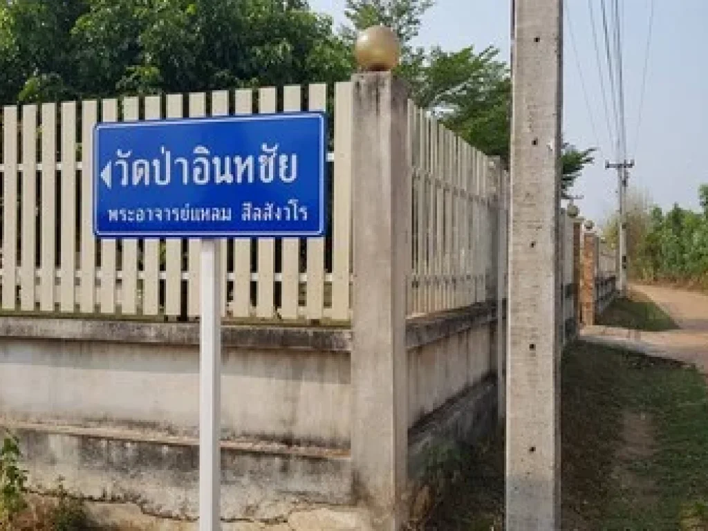 ขายที่ดินติดถนน อเมืองหนองคาย หลังมหาวิทยาลัยขอนแก่น วิทยาเขตหนองคาย