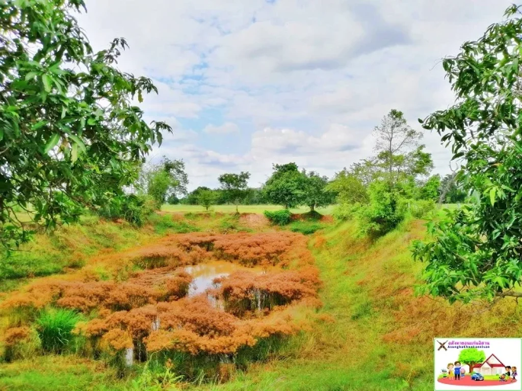 ที่นาใกล้ถนนทางหลวงชนบท ห่าง ถมิตรภาพ 25 กม ขายถูกกว่าบริเวณนั้น