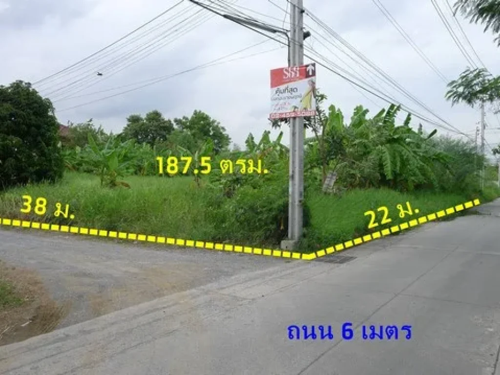 ขายที่ดิน 2แปลงติดกัน เนื้อที่รวม 1875 ตรว ถมแล้ว ห่างถนนราชพฤกษ์ 80 เมตร ใกล้รถไฟฟ้าสายสีม่วง