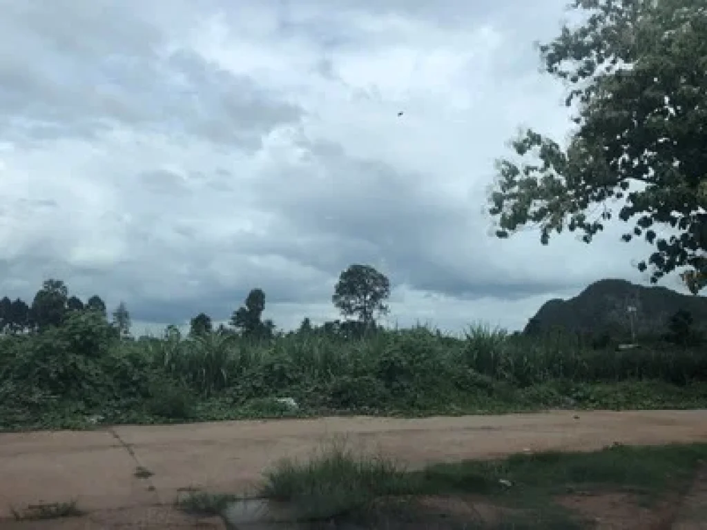 ขายที่ดินสวย 29ไร่ ทำเลหลังสถานีตำรวจภูธร ลานสัก อุทัยธานี