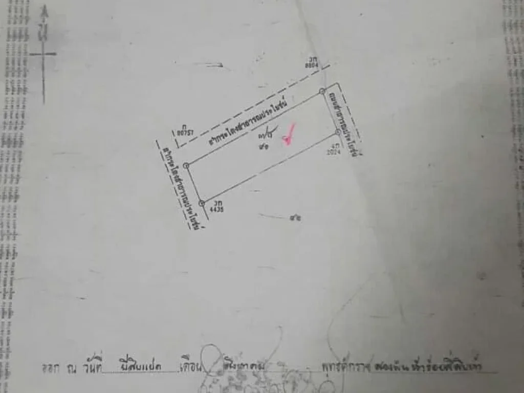 ขายที่ดิน 2 แปลง 6-2-80 ตรว ติดถนน อเมือง สมุทรสงคราม