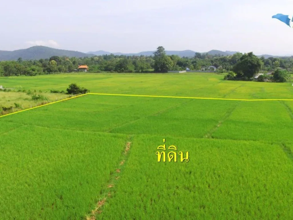 ขายที่นา 3-2-37 ไร่ ด้านข้างติดลำเหมือง 110เมตร ติดถนน 41เมตร วิวดอยสวยมาก