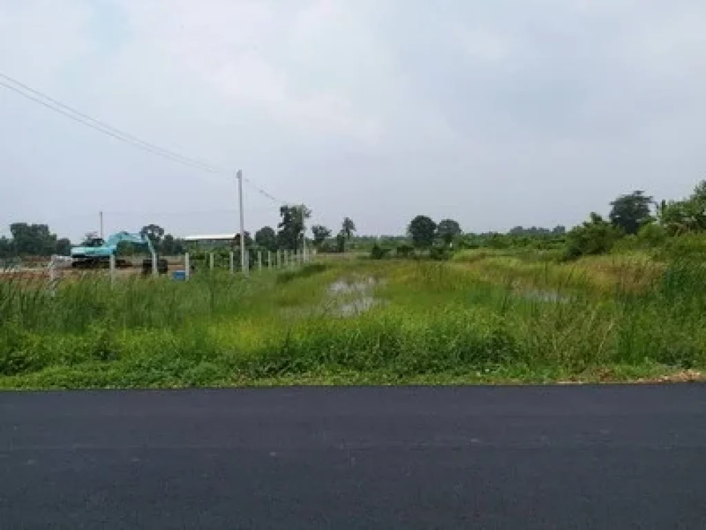 ขายที่ดินหนองเสือติดถนนลาดยาง คลอง11 หนองเสือ 200 ตรว ใกล้วัดป่า ทำเลดี เหมาะเกร็งกำไรในอนาคต