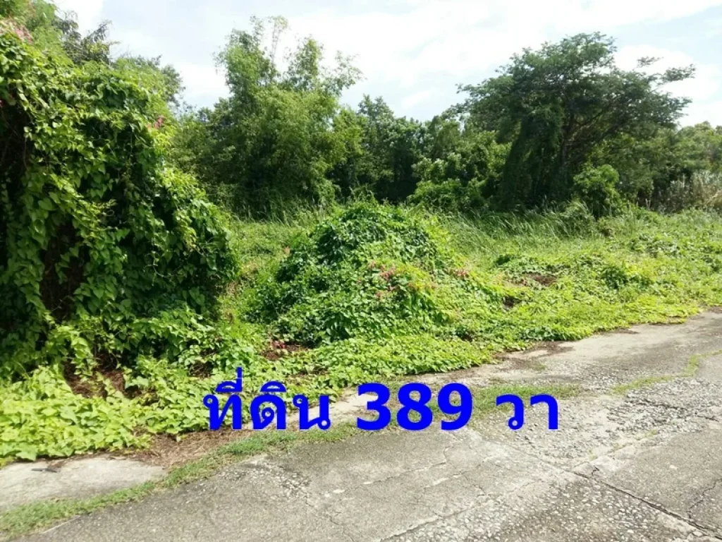 ขาย ที่ดินเปล่า 389 ตรว ถนนพุทธมณฑลสาย 2 ซอย 21 หน้ากว้าง 30x52 ม