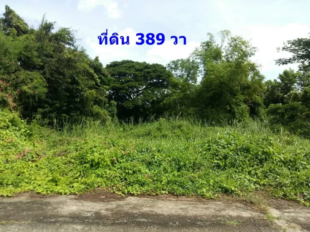 ขาย ที่ดินเปล่า 389 ตรว ถนนพุทธมณฑลสาย 2 ซอย 21 หน้ากว้าง 30x52 ม