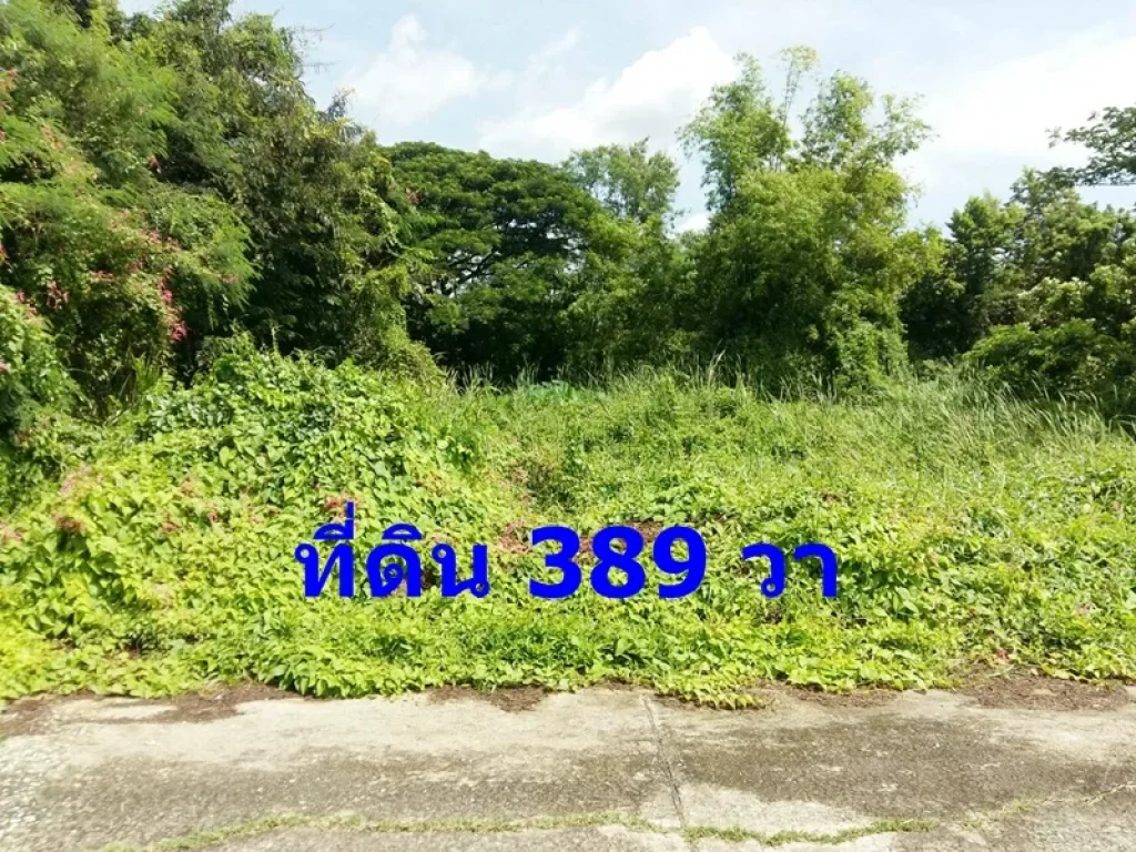 ขาย ที่ดินเปล่า 389 ตรว ถนนพุทธมณฑลสาย 2 ซอย 21 หน้ากว้าง 30x52 ม