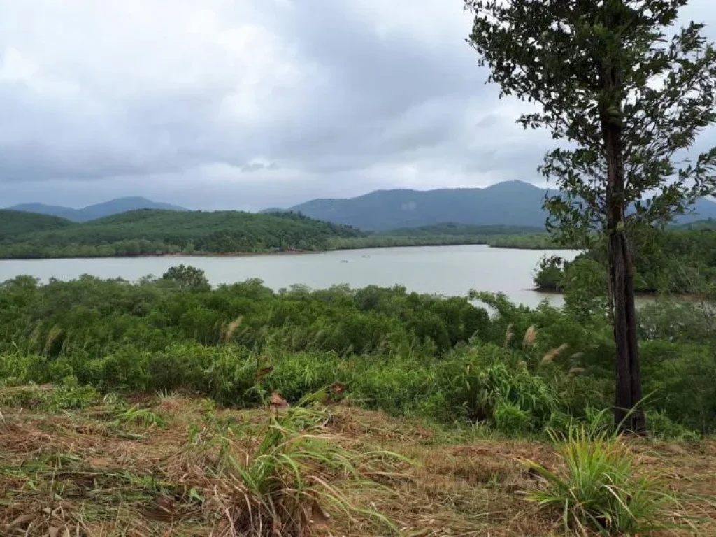 ขายเกาะส่วนตัว ที่ดิน ประเทศพม่าใกล้คาสิโน 148ไร่ Island Land for sale in Myanmar near Casinos 148 Rai