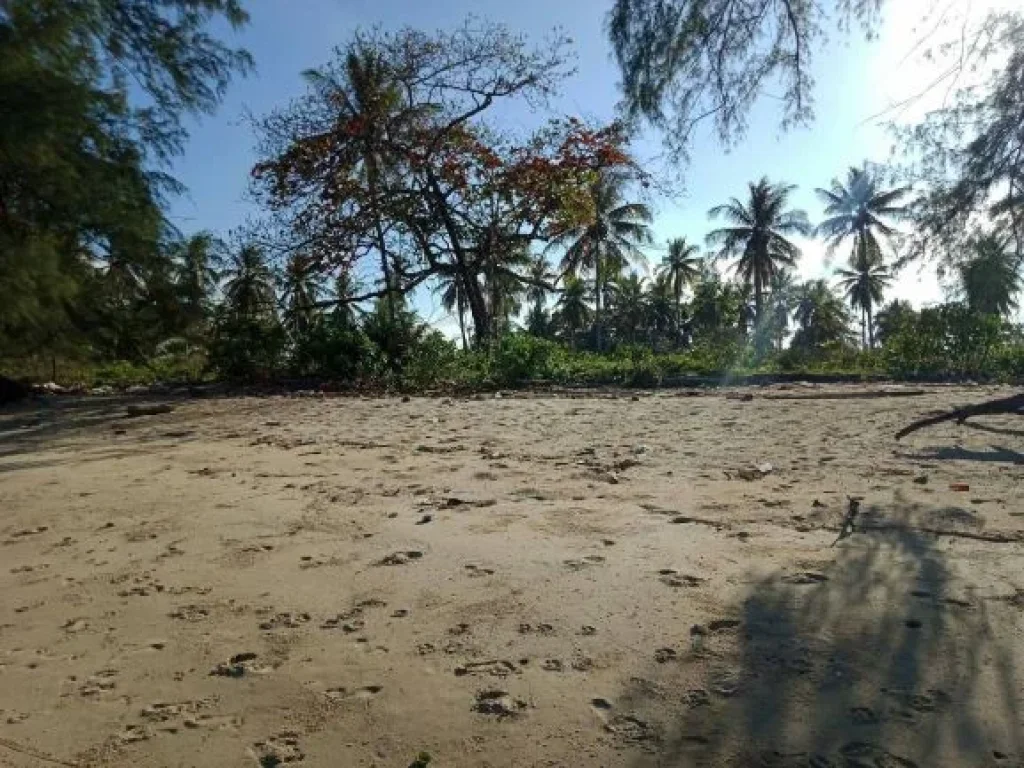 ขายที่ดินติดถนนติดทะเล จังหวัดชุมพร ติดถนนใหญ่และชายหาดส่วนตัว 9 ไร่ 3 งาน