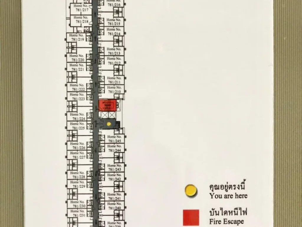 ให้เช่าขาย คอนโดใหม่ Regent Home สุขุมวิท 81 BTS อ่อนนุช อาคาร B ห้องสวย พร้อมอยู่