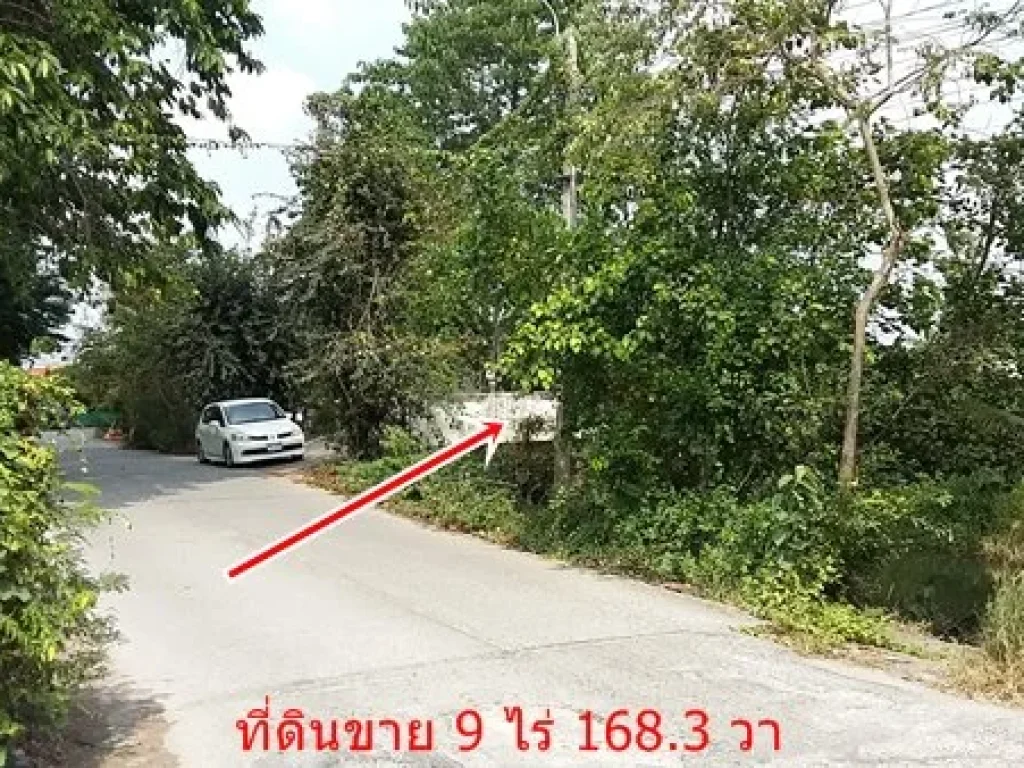 ขายที่ ดินเปล่า 9 ไร่ 1 งาน 683 ตรว หน้ากว้าง 180 x 84 เมตร ซวัดจันทองเอี่ยม บางบัวทอง