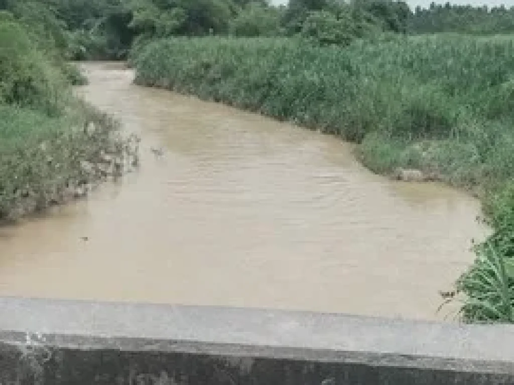 ที่ดินปลวกแดงทำเลดี ราคาดี ถนนปลวกแดง วังตาผิน ที่ดินสีชมพู่