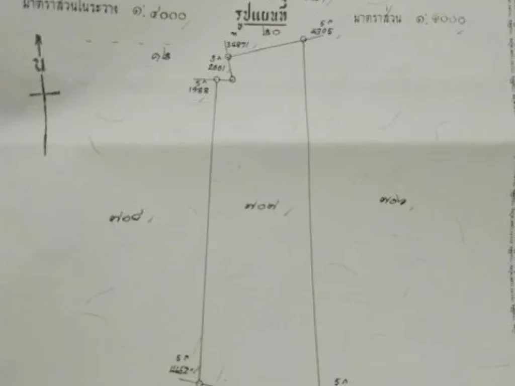 ขาย ที่ดินเปล่า ตท่าทราย อเมือง สมุทรสาคร ขนาด 2 ไร่ 2 งาน ราคา 35 ล้านไร่