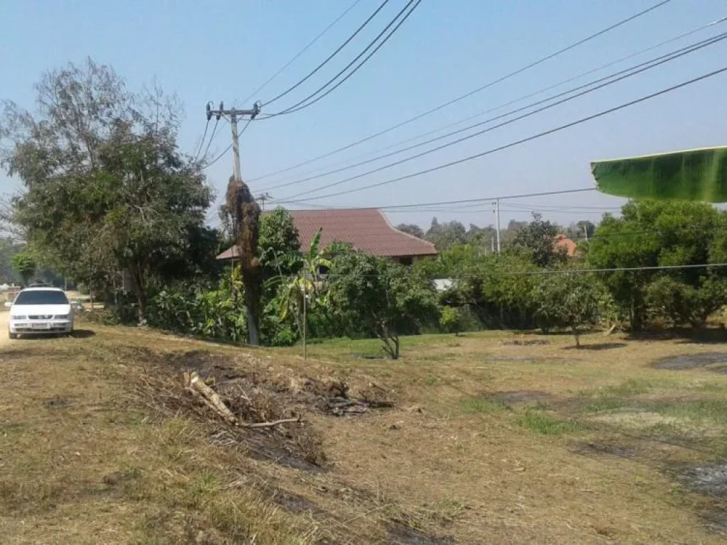 ขายที่ดินเปล่า 300 ตรว อดอยสะเก็ด จเชียงใหม่ ทำเลดี ติดกับโครงการธารใสดอยงาม ใกล้ มราชมงคลล้านนา