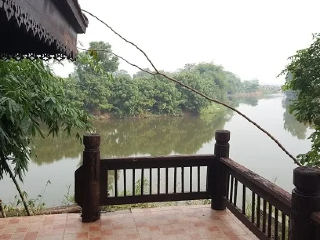 บ้านเรือนไทยริมแม่น้ำ บรรยากาศธรรมชาติ วิวสวยมาก อบางไทร อยุธยา บท 017 ขายที่ดินริมแม่น้ำ พร้อมบ้านเรือนไทย อายุเกือบ 100 ปี ปลูกบนที่ดินเนื้อที่ 1