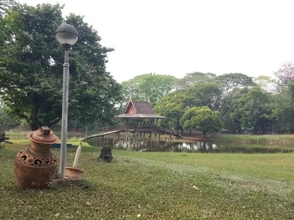 บ้านเรือนไทยริมแม่น้ำ บรรยากาศธรรมชาติ วิวสวยมาก อบางไทร อยุธยา บท 017 ขายที่ดินริมแม่น้ำ พร้อมบ้านเรือนไทย อายุเกือบ 100 ปี ปลูกบนที่ดินเนื้อที่ 1