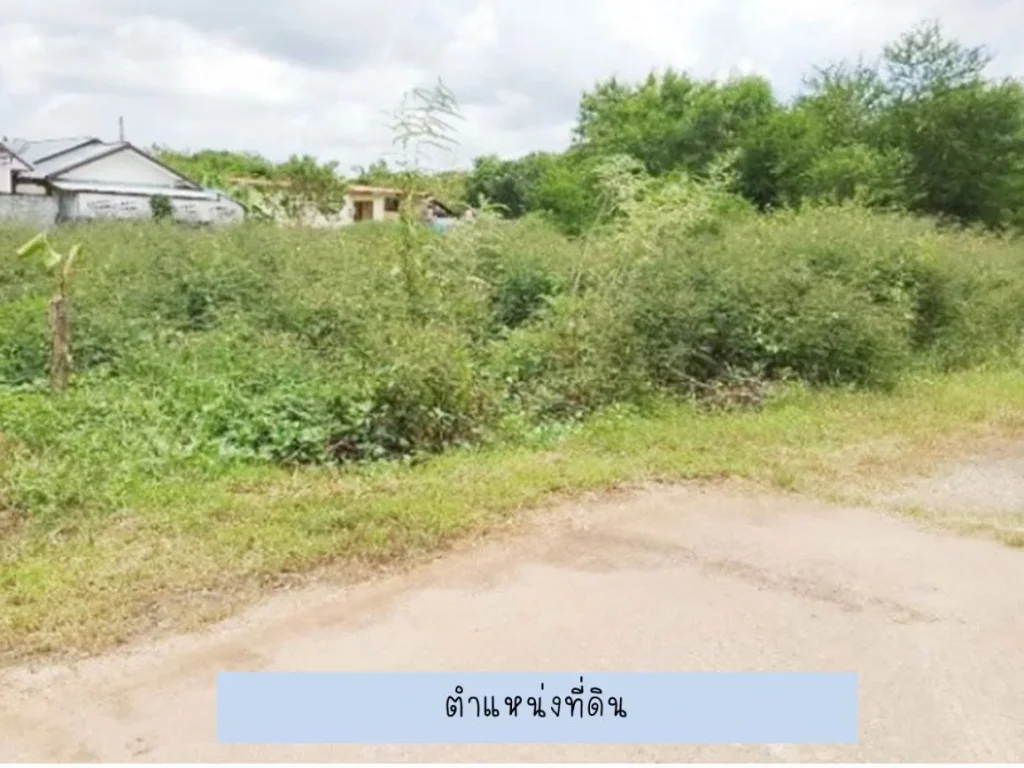 ขาย ที่ดิน 1 งาน C55 ใกล้ตัวเมืองอุดรธานี 100 sqwa land at Muang District Udonthani Province for sale