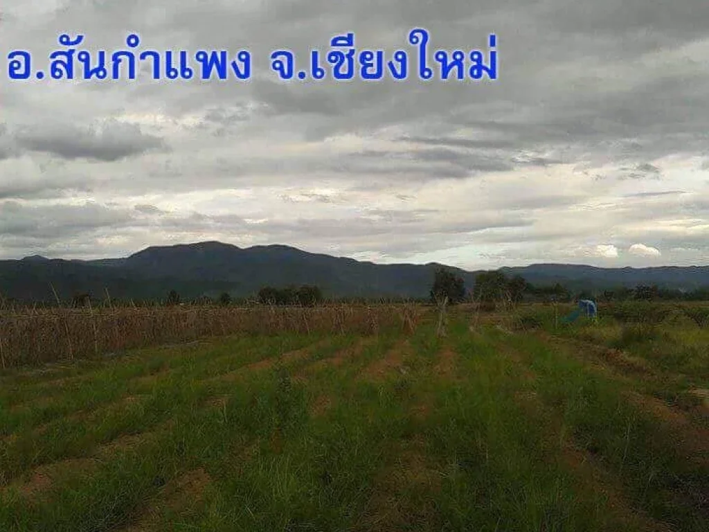 สันกำแพง ถนน 1317 เชียงใหม่