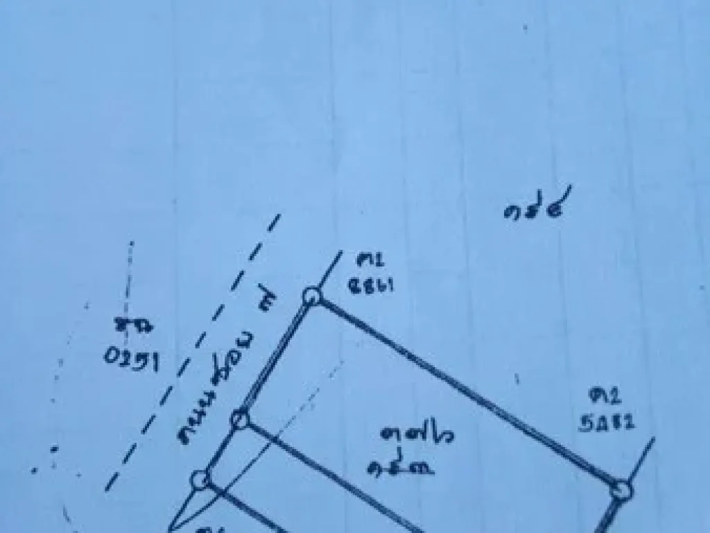 ขายที่ดิน เนื้อที่ 3 งาน นิคมพัฒนา ตำบลมะขามคู่ จ ระยอง