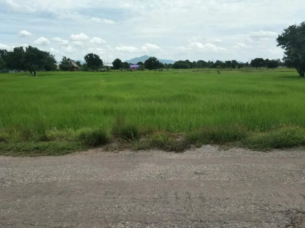 ที่ดินโฉนด 3ไร่ 55ตรว ติดถนน น้ำไฟเพื่อนบ้าน ตโคกสำโรง อโคกสำโรง ลพบุรี