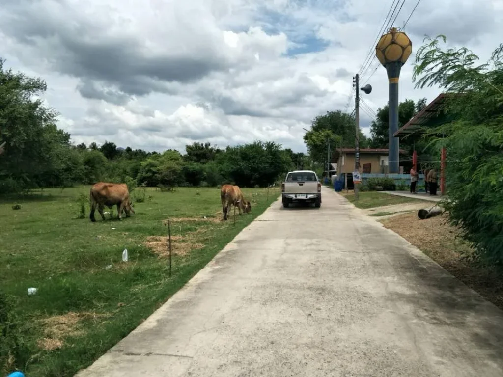 ที่ดินโฉนด 200ตรว ติดถนน น้ำไฟครบ ตวังขอนขว้าง อโคกสำโรง ลพบุรี