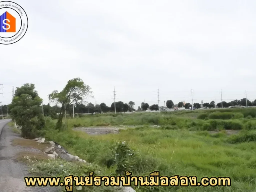 ขายที่ดินนครหลวง 16 ไร่ อำเภอนครหลวง จังหวัดอยุธยา ตรงข้ามโรงเรียนวัดโพธิ์ทอง