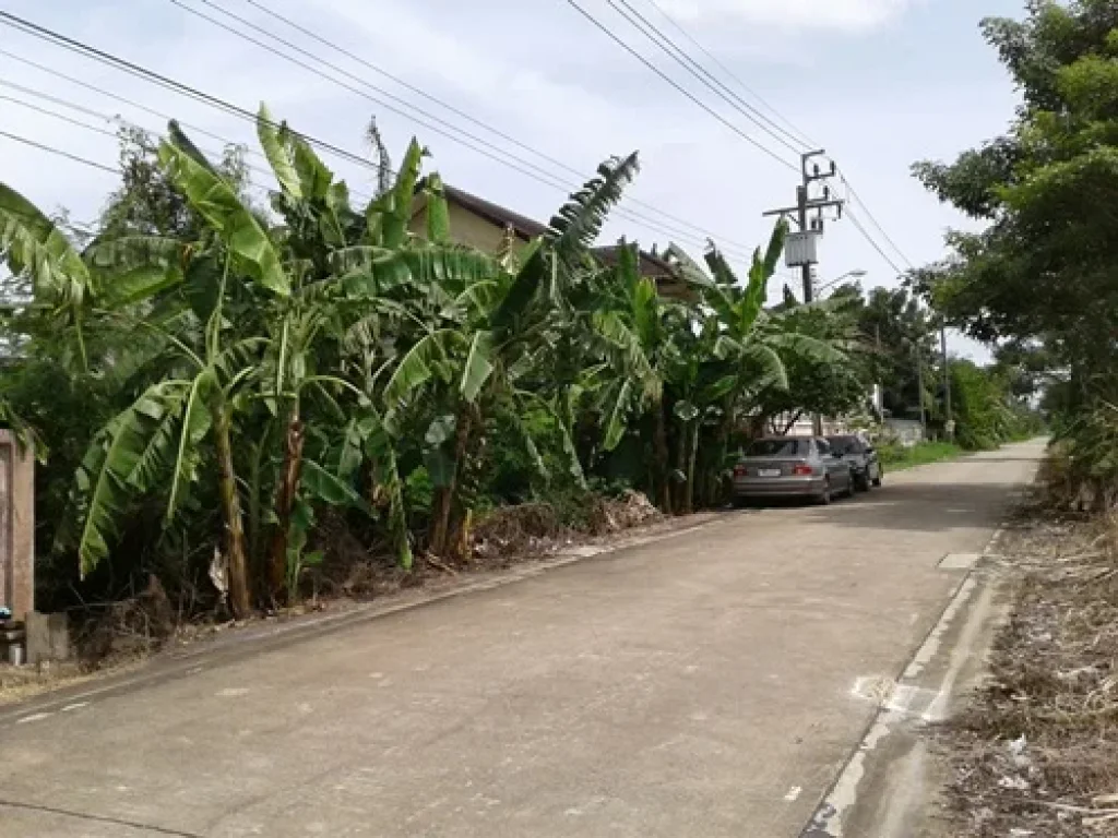 ขายที่ดิน 200 ตรว ถมาเจริญ 3 หนองแขมภาษีเจริญ