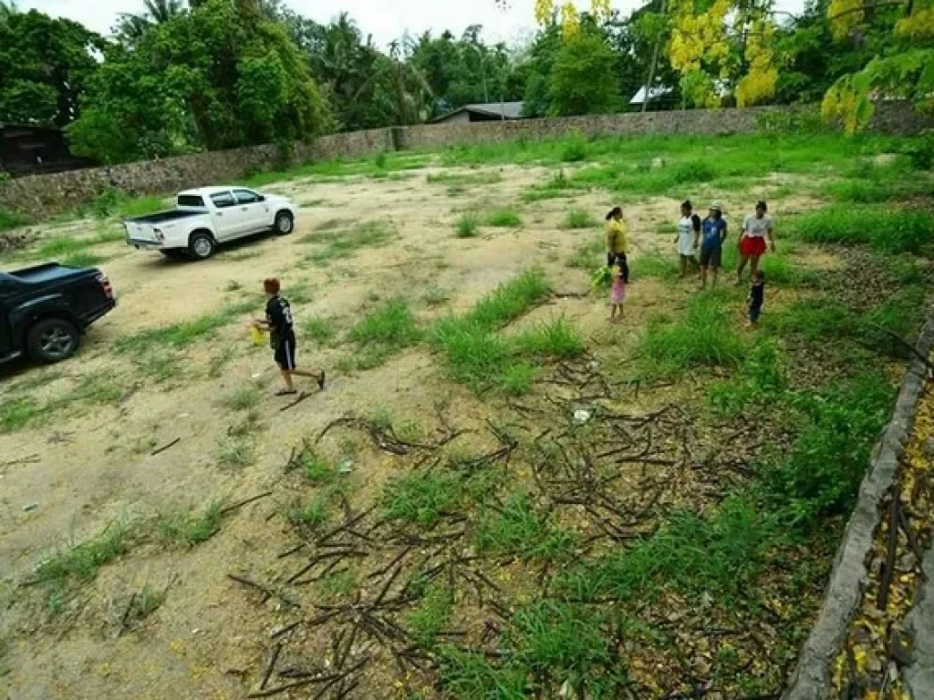 ขายที่ดินเปล่าพัทยาอ่างมาบประชัน เหมาะปลูกบ้านทำบ้านขาย สนใจไหมล่ะ