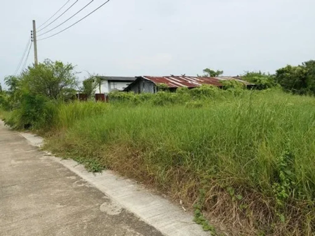 ขายถูก ที่ดิน 436 ตรวพุทธมณทลสาย 2 ซอย 33ศาลาธรรมสพน์ ทวีวัฒนา กรุงเทพมหานคร